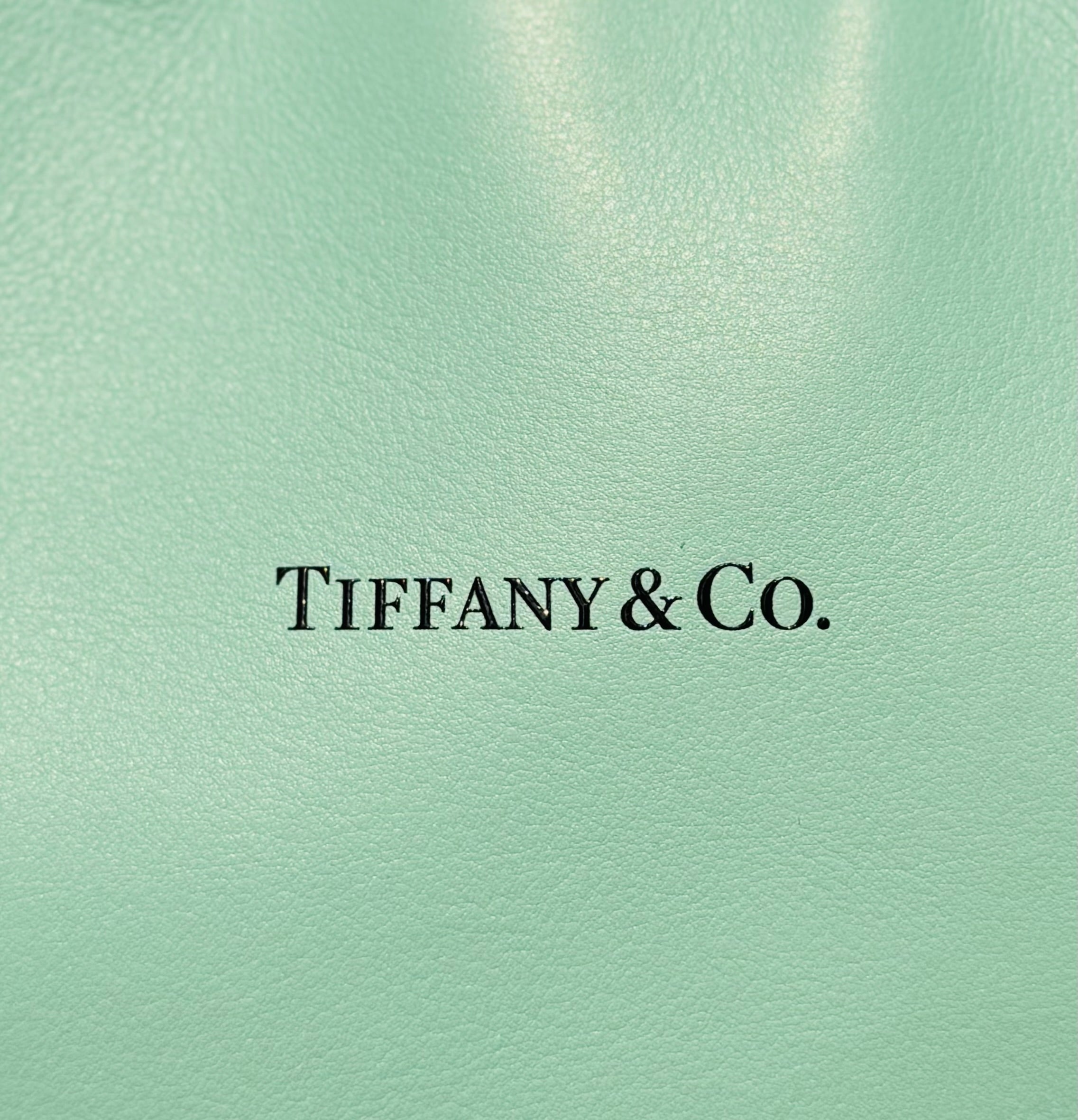 TIFFANY & CO. Turquoise Mini Leather Shopping Hand Bag