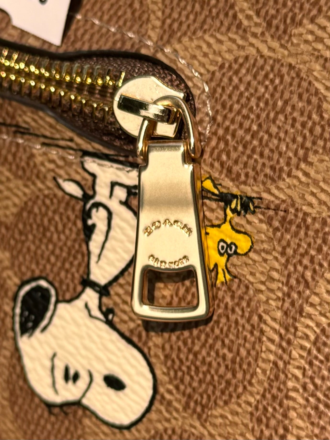 SOLD! COACH x Peanuts Rowan Satchel Signature Canvas Snoopy Bag NEW!