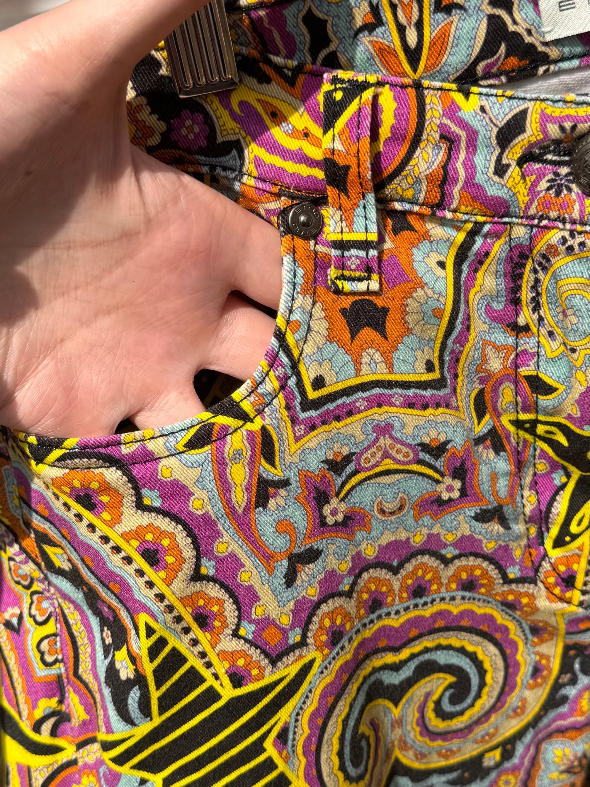 ETRO Multi-Color Rock Paisley Pants Sz. 29