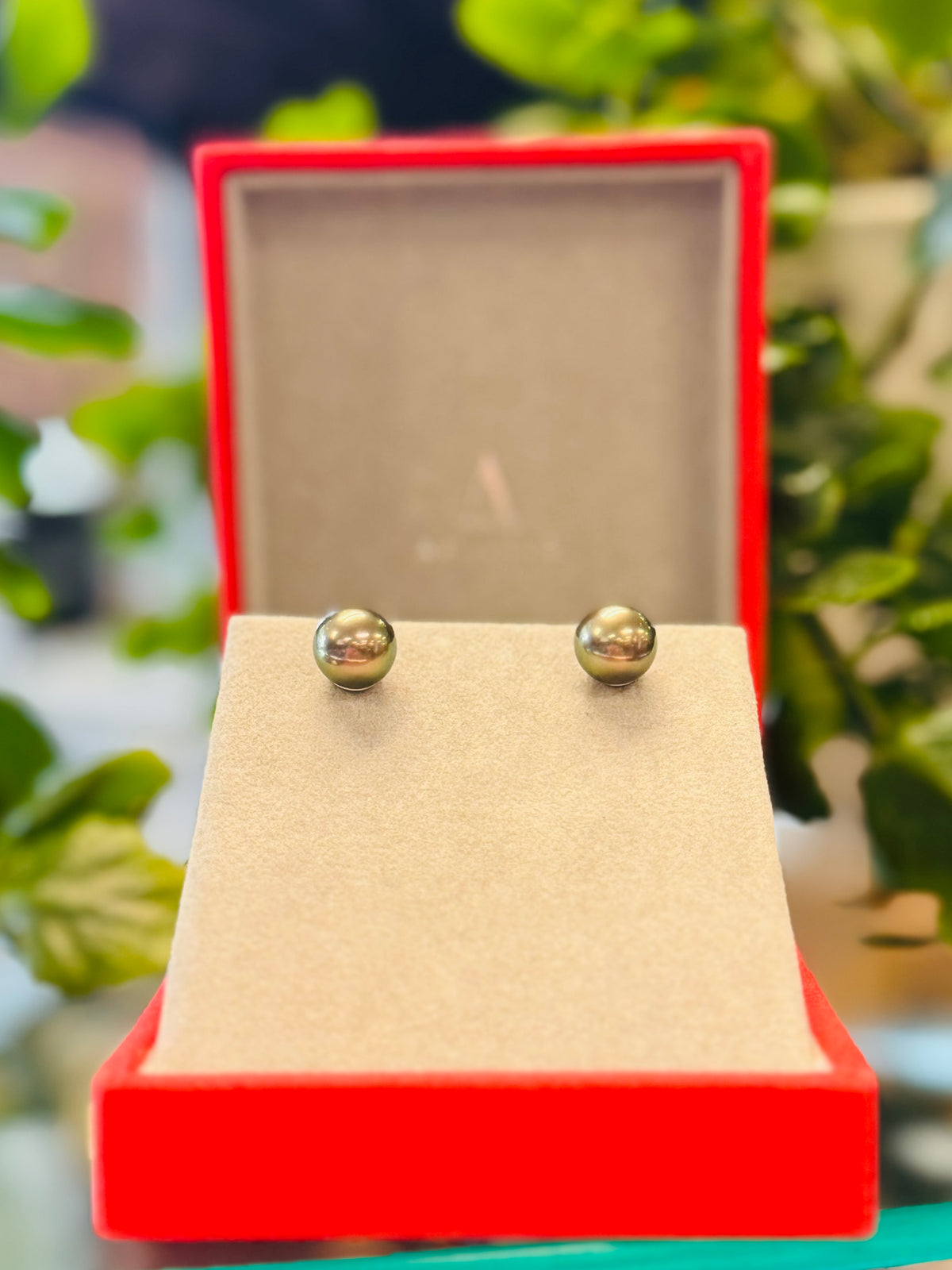 SOLD! 10mm Tahitian Black Pearl & 14k White Gold Stud Earrings