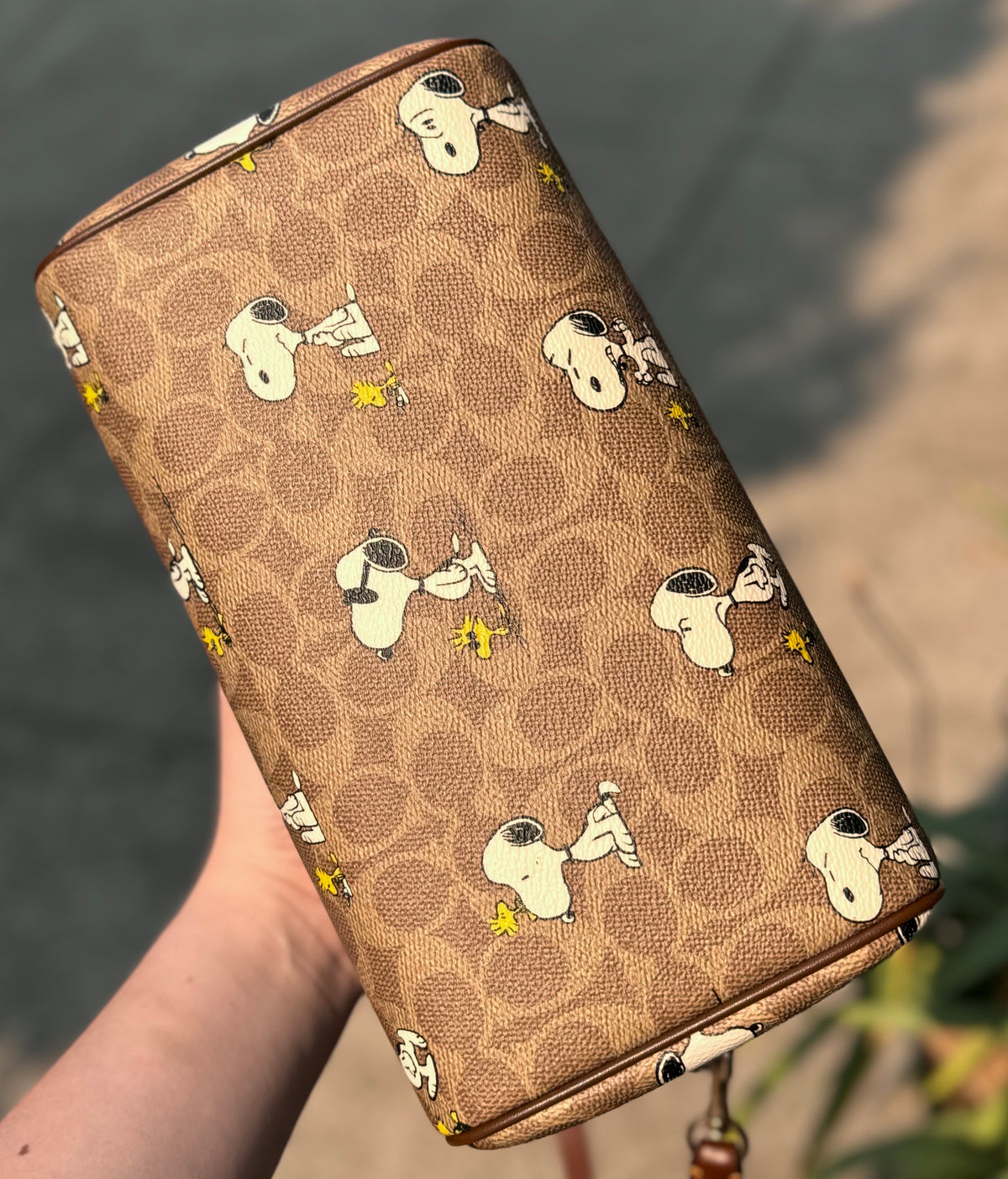 SOLD! COACH x Peanuts Rowan Satchel Signature Canvas Snoopy Bag NEW!