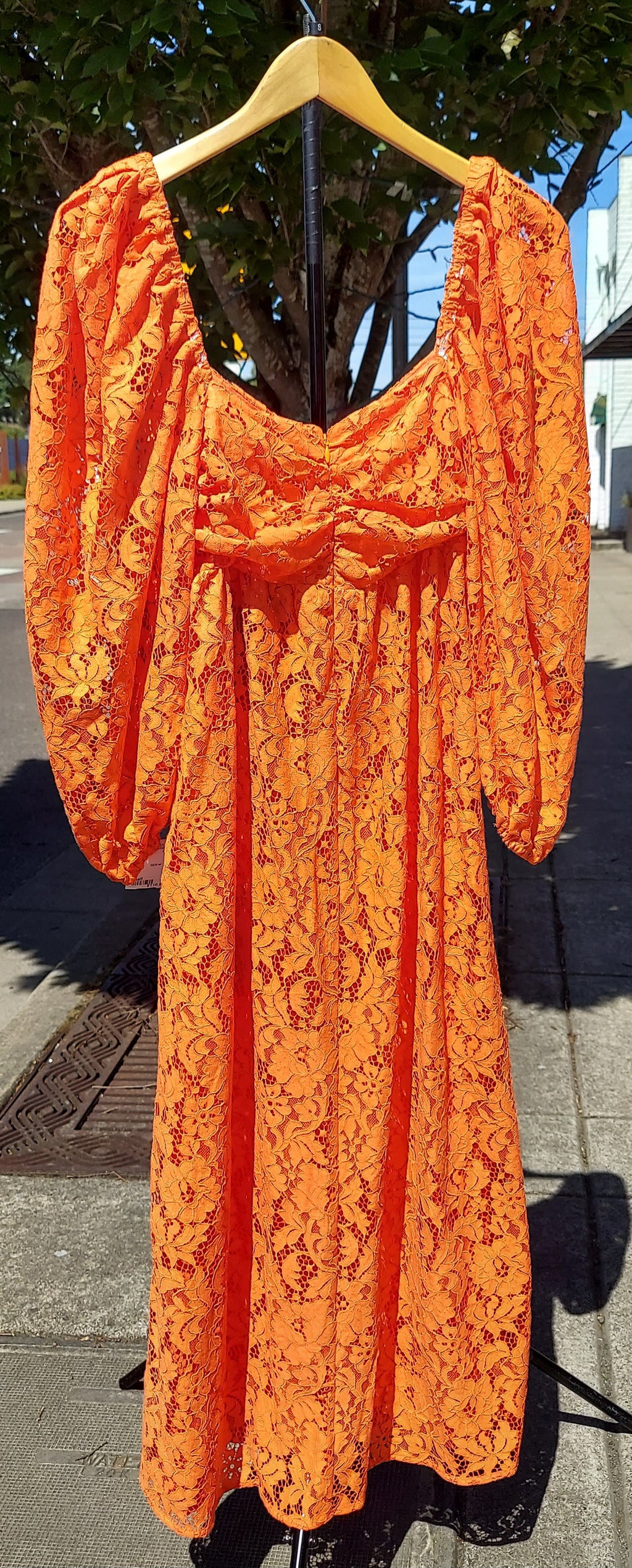 FARM RIO Lace Midi Embriodered Long Sleeve Dress Sz. Small NEW w/ Tags